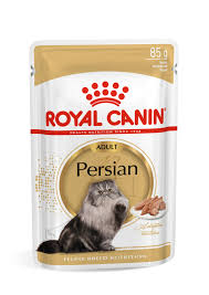 royal canin maine pouch wet