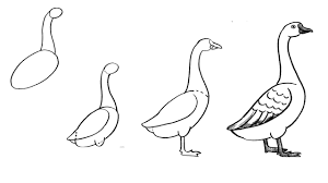 Cách vẽ con vịt đơn giản | Hướng dẫn bé tập vẽ và tô màu | how to draw a  duck - YouTube