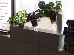 Build your own hydroponic window herb garden system