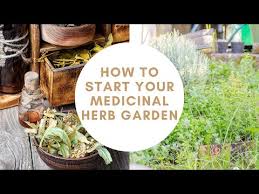 How To Start Your Medicinal Herb Garden