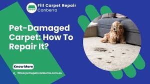 carpet repair red hill 0488857311