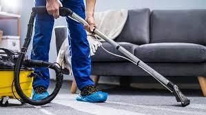 carpet cleaner showdown consumer