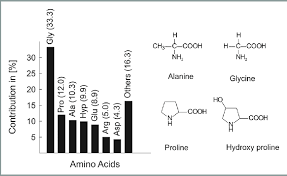 approximate amino acid composition of
