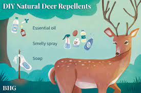 3 diy deer repellents to protect your