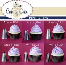 Piping Tips Your Cup Of Cake