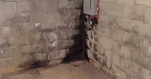 Damp Walls And Floors In Your Basement