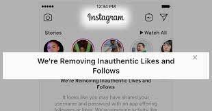 insram is deleting fake followers