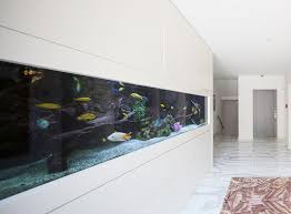 Built In Fish Tank Ideas For Your Home