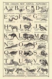 Childrens Animal Alphabet Antique Prints History Art Print
