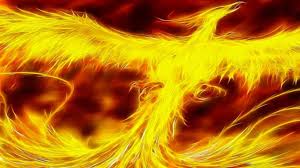 The phoenix bird is in fact a mythical bird. Phoenix Bird Wallpapers Wallpaper Cave