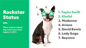 the most por dog names of 2019 are