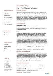 Entry Level Project Manager Resume Junior Business