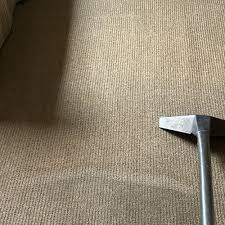 area rug cleaning near menlo park