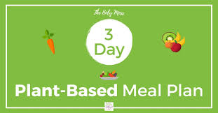 3 day plant based weight loss meal plan