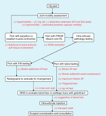 Hip Pain Differential Diagnosis Flow Chart Used In
