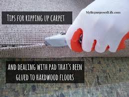 ripping up carpet and padding 101 my