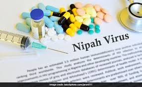 It is closely related to hendra. All About Nipah Virus How Nipah Infection Is Different From Swine Flu Bird Flu
