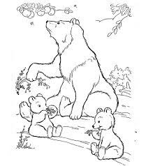 Download this coloring sheet from bears for free and start painting! Animal Coloring Pages Momjunction