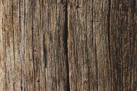 Wood Grain Texture Motosha