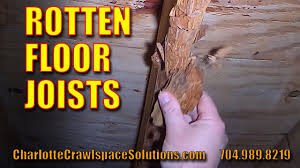 rotten floor joists repair matthews