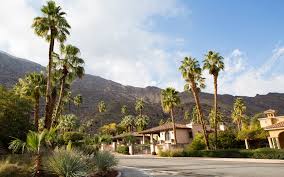 The Best Time To Visit Palm Springs Ca Chart Attack
