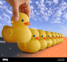 rubber toy ducks in a row Stock Photo 