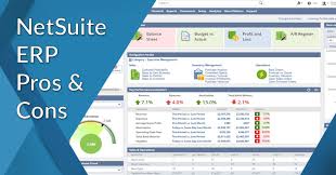 Netsuite suitecommerce advanced is our specialty. Pros Cons Of Netsuite Erp Analysis Of A Leading Erp Software Financesonline Com