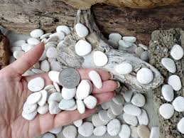 Small Stones Lot 50 150 Pebbles