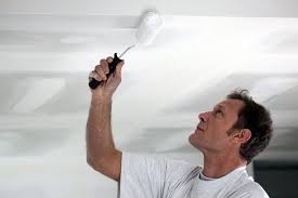 options for ling ceiling paint the