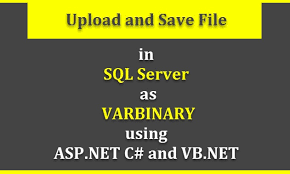 as varbinary data in asp net using c