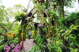 national orchid gardens in singapore