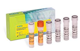 This test actually detects rna (or genetic material) that is specific to the virus and can detect the virus within days of infection, even those who have no symptoms. Reliance Sars Cov 2 Rt Pcr Assay Kit Life Science Research Bio Rad
