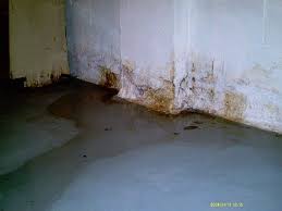 wet basement damp basement