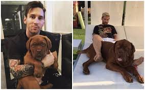 Maybe you would like to learn more about one of these? Proud Dog Dad And Soccer Star Lionel Messi Can T Believe How Quick His Pup Has Grown