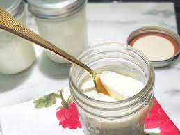 yogurt recipe lactose free dairy free