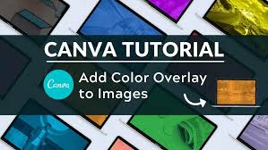 color overlay to images in canva
