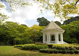 singapore botanic gardens