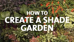 How To Grow A Shade Garden Palmers
