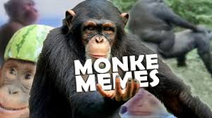 85 monky monkey memes to swing