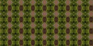 100 000 carpet texture vector images