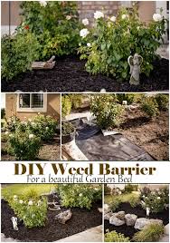 Diy Weed Barrier For A Beautiful Garden Bed