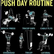 push chest shoulders triceps free