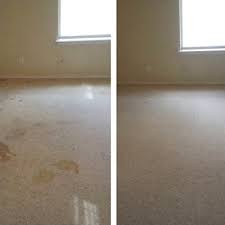 beyer carpet cleaning