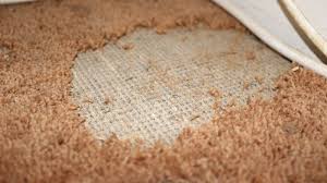 say goodbye to carpet moths with two