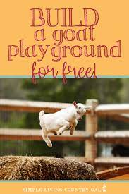 building a free diy goat playground