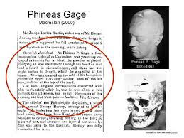 The Case of Phineas Gage    In the year       a terrible accident occurred 