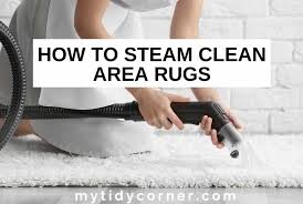 how to steam clean area rugs diy step