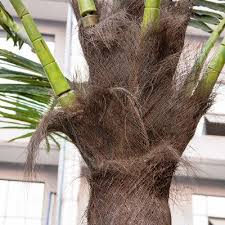 China Artificial Palm Tree And