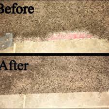 affordable carpet care with 16 reviews