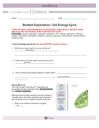 student exploration cell energy cycle 1